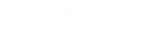 Replit